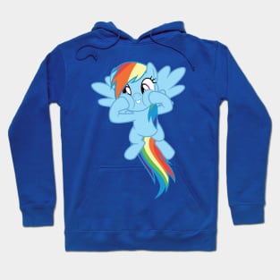 Rainbow Dash squishy cheeks Hoodie